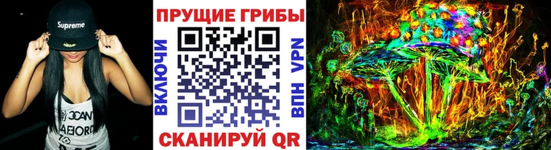 Псилоцибиновые грибы прущие грибы  купить закладку  мориарти формула  Ртищево 