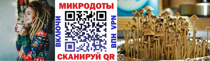 Галлюциногенные грибы MAGIC MUSHROOMS Ртищево